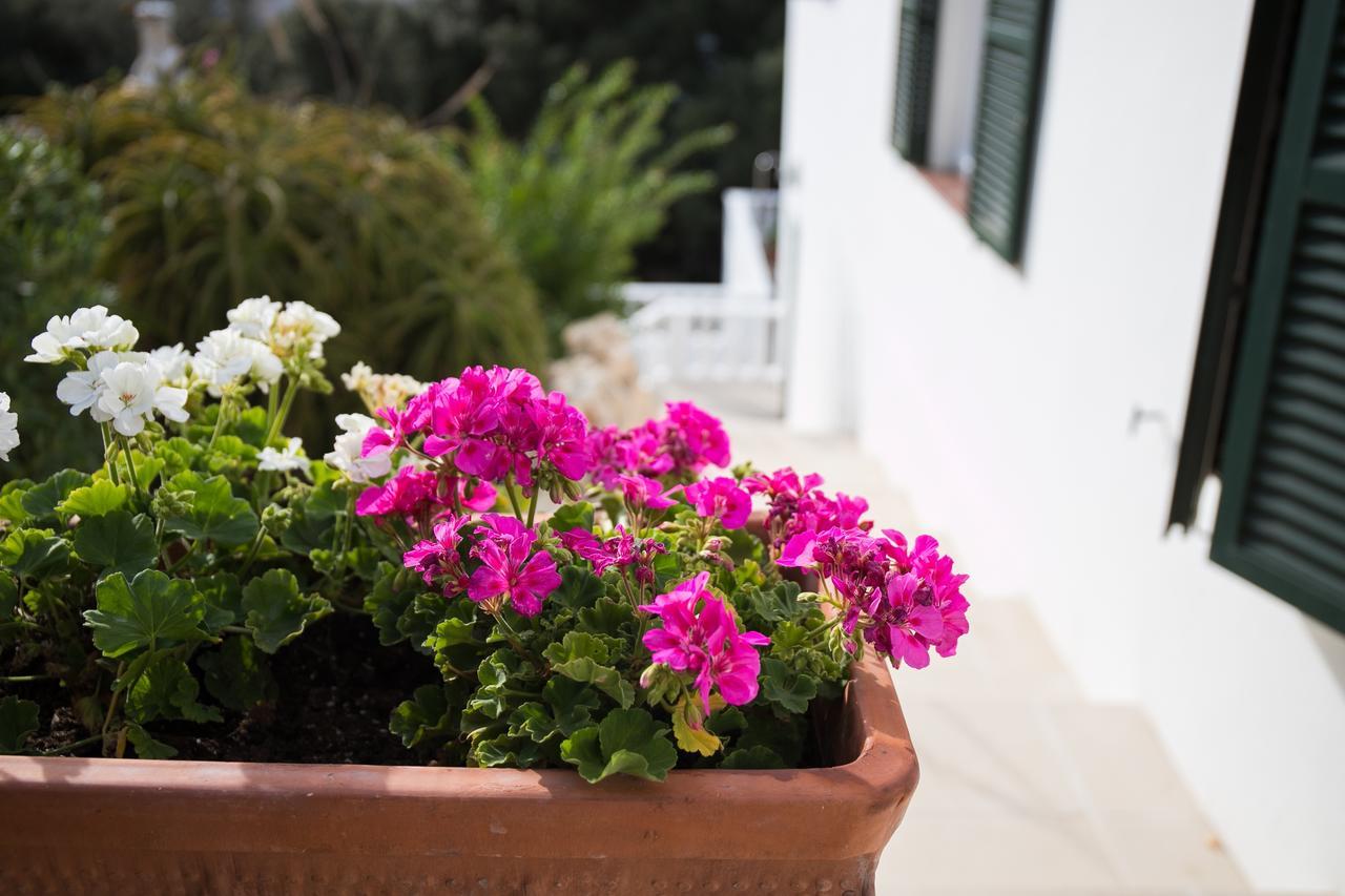 Apartamentos Gama Cala Galdana  Dış mekan fotoğraf